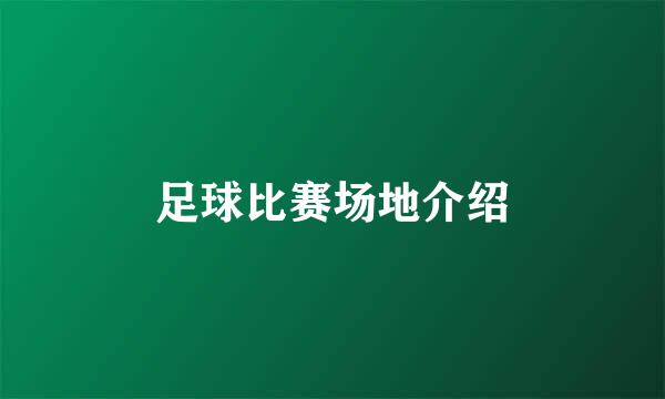 足球比赛场地介绍