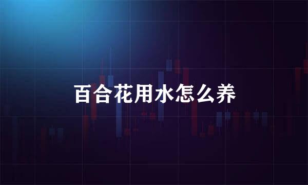 百合花用水怎么养