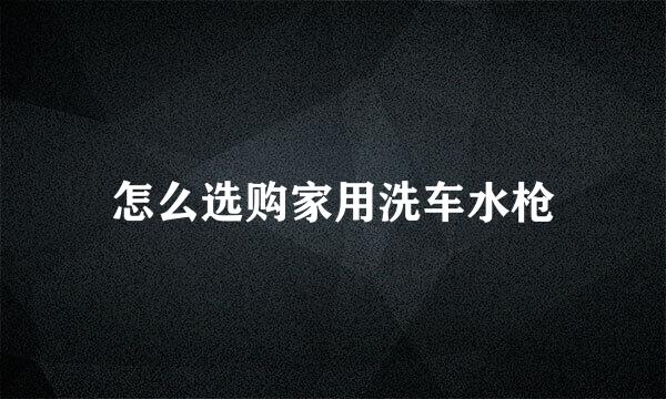 怎么选购家用洗车水枪