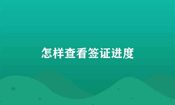 怎样查看签证进度
