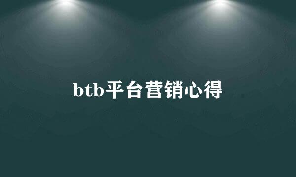 btb平台营销心得