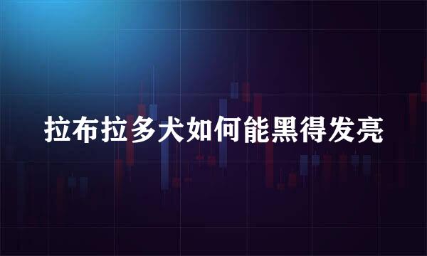 拉布拉多犬如何能黑得发亮