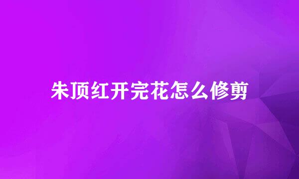 朱顶红开完花怎么修剪