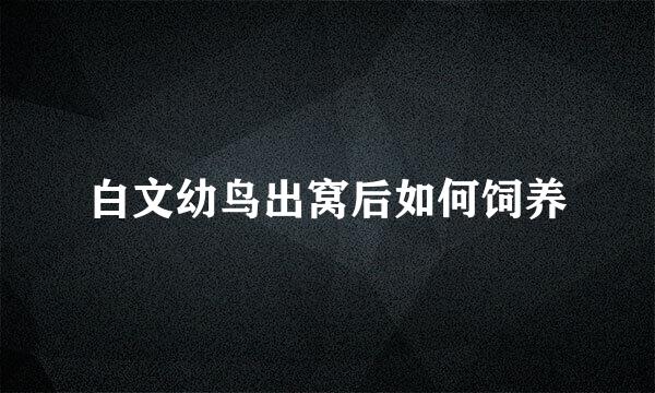 白文幼鸟出窝后如何饲养