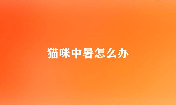 猫咪中暑怎么办
