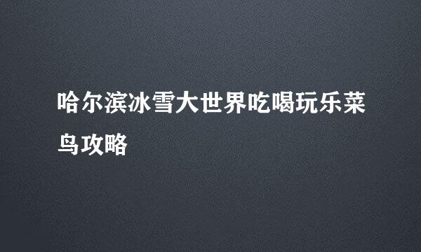 哈尔滨冰雪大世界吃喝玩乐菜鸟攻略