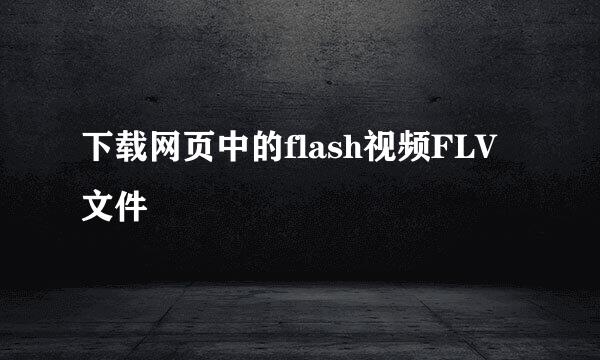 下载网页中的flash视频FLV文件