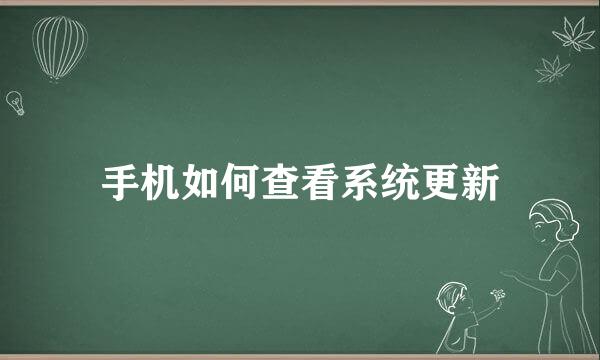 手机如何查看系统更新
