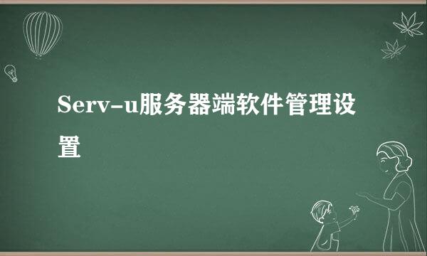 Serv-u服务器端软件管理设置