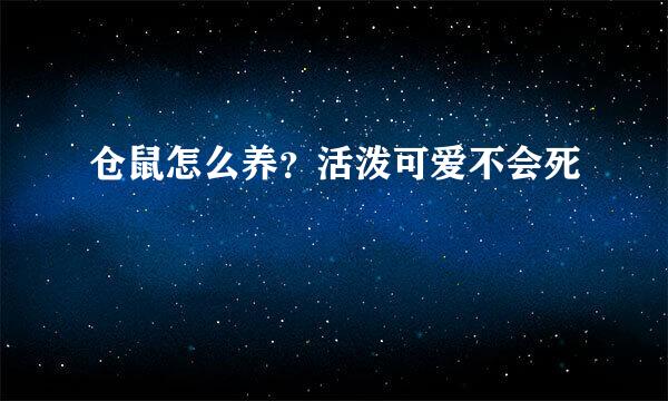 仓鼠怎么养？活泼可爱不会死