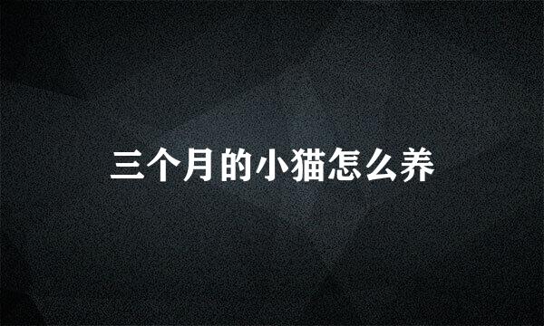 三个月的小猫怎么养