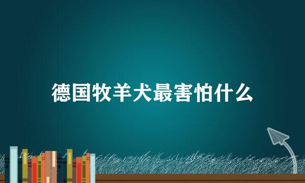 德国牧羊犬最害怕什么