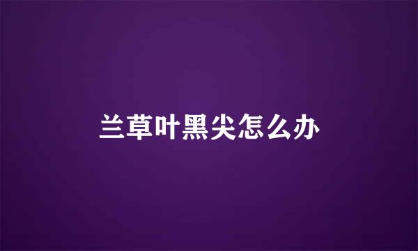 兰草叶黑尖怎么办