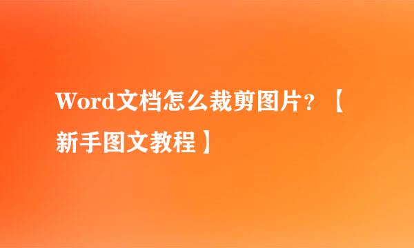Word文档怎么裁剪图片？【新手图文教程】