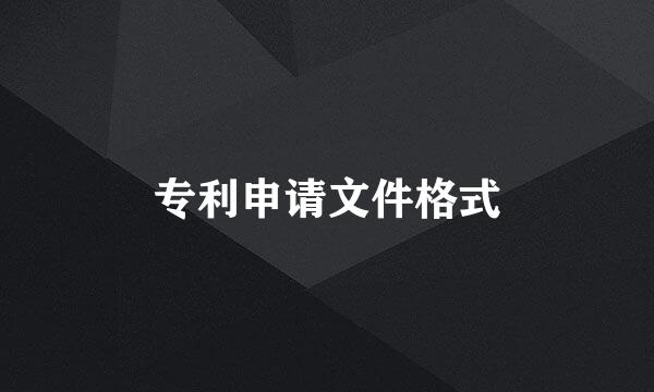 专利申请文件格式