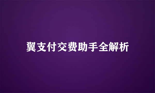翼支付交费助手全解析