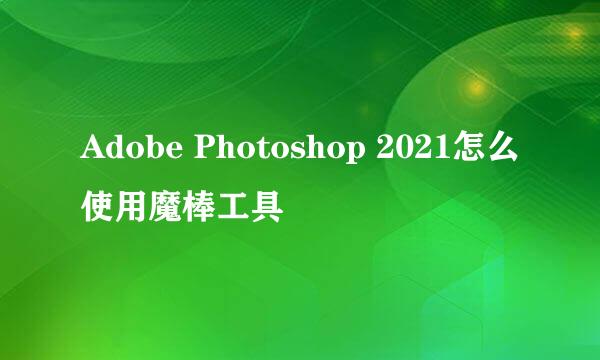 Adobe Photoshop 2021怎么使用魔棒工具