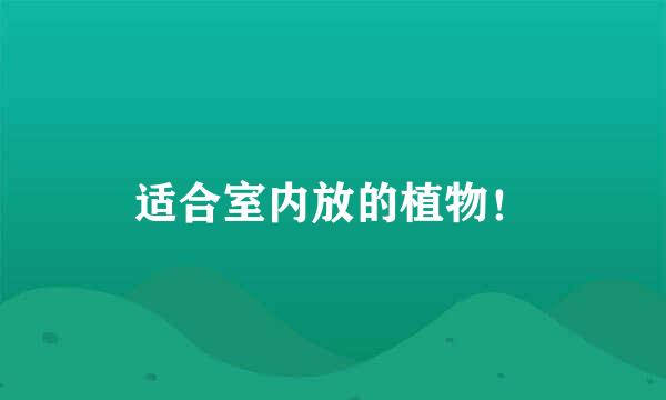 适合室内放的植物！