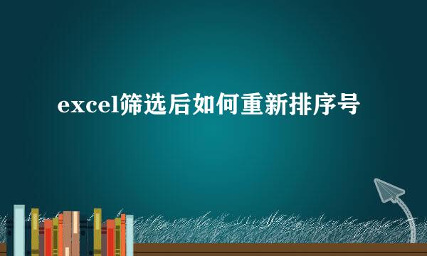 excel筛选后如何重新排序号