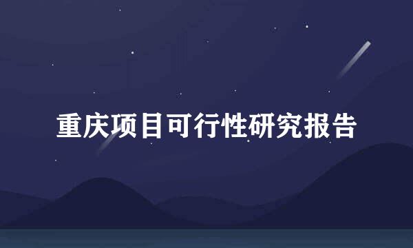 重庆项目可行性研究报告