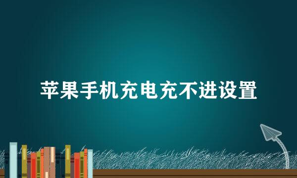 苹果手机充电充不进设置