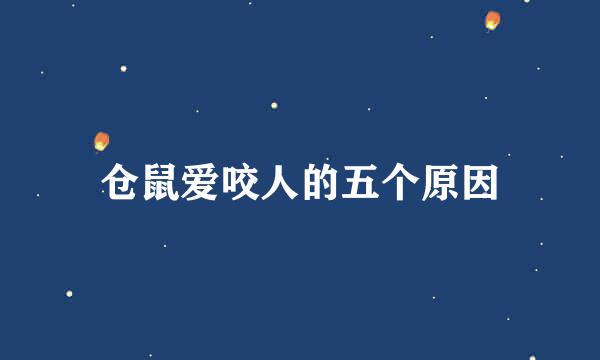 仓鼠爱咬人的五个原因