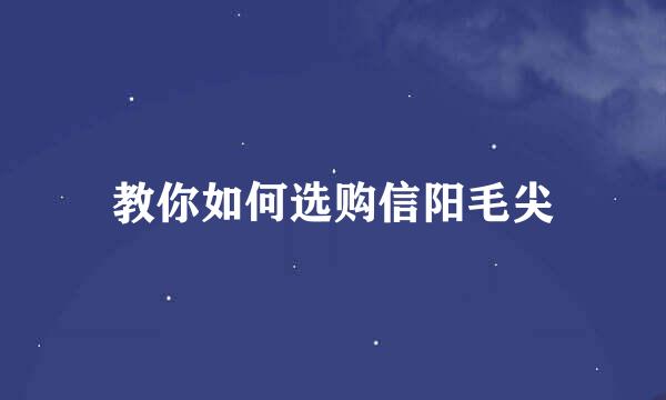 教你如何选购信阳毛尖