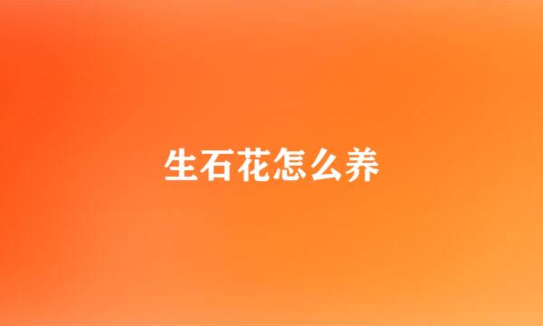 生石花怎么养