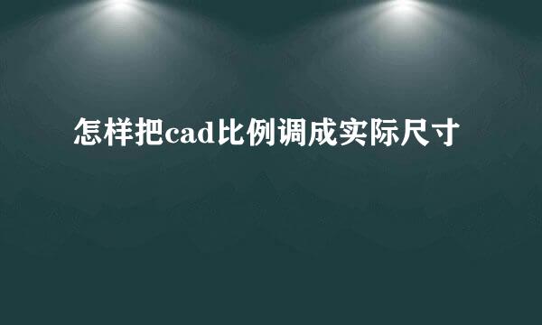 怎样把cad比例调成实际尺寸