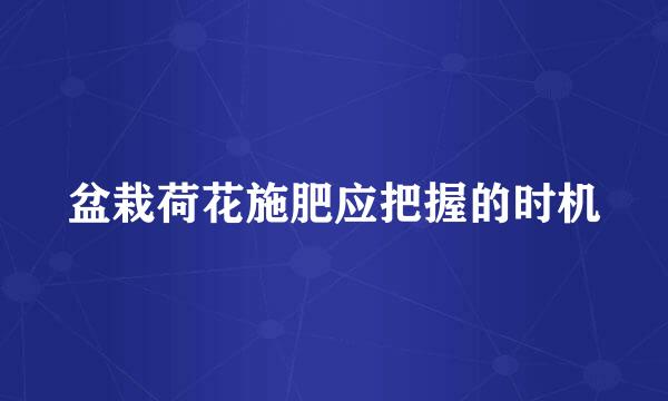 盆栽荷花施肥应把握的时机