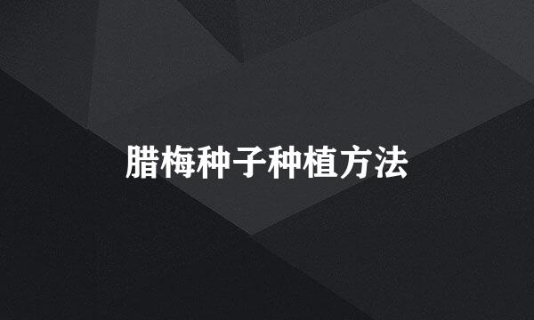 腊梅种子种植方法