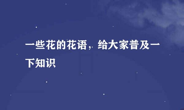 一些花的花语，给大家普及一下知识