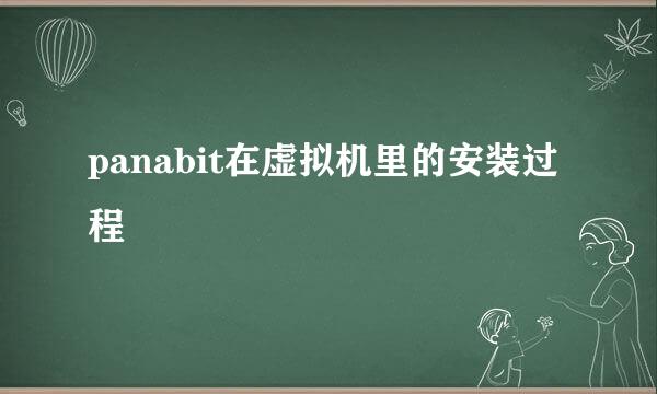 panabit在虚拟机里的安装过程