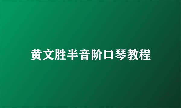 黄文胜半音阶口琴教程