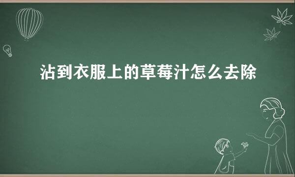 沾到衣服上的草莓汁怎么去除