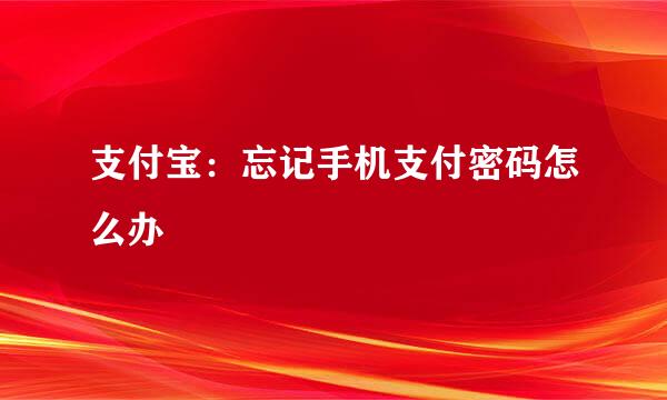 支付宝：忘记手机支付密码怎么办