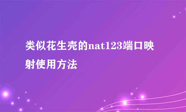 类似花生壳的nat123端口映射使用方法