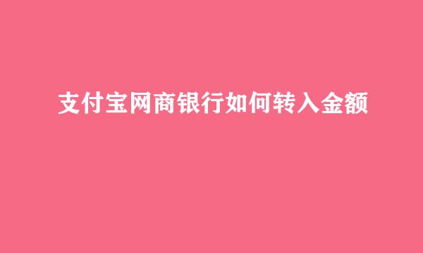 支付宝网商银行如何转入金额