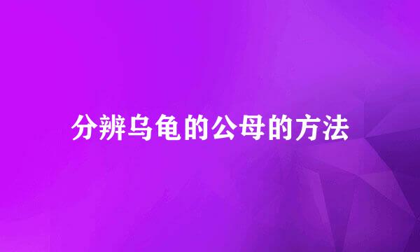 分辨乌龟的公母的方法
