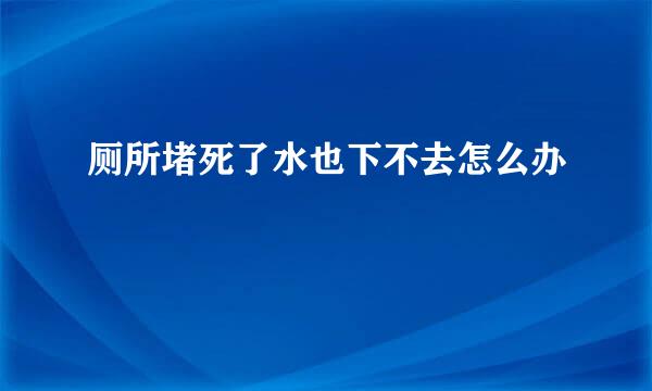 厕所堵死了水也下不去怎么办