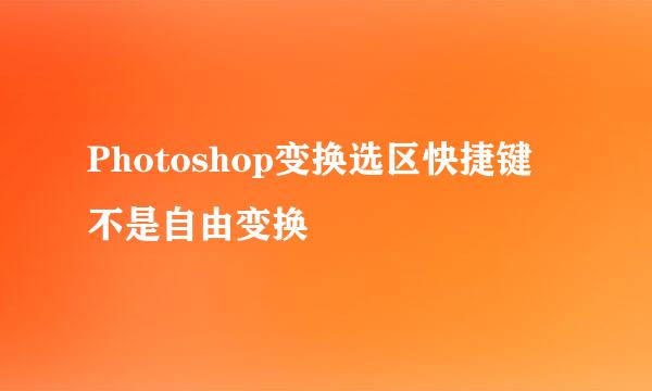 Photoshop变换选区快捷键 不是自由变换