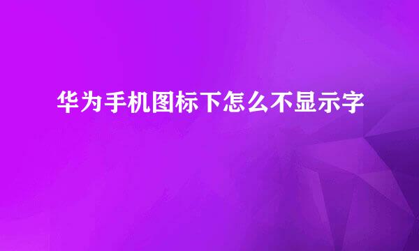 华为手机图标下怎么不显示字