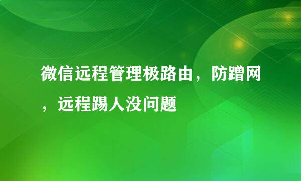 微信远程管理极路由，防蹭网，远程踢人没问题