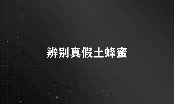 辨别真假土蜂蜜