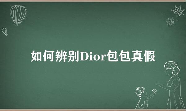 如何辨别Dior包包真假