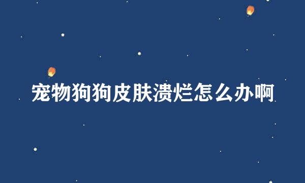 宠物狗狗皮肤溃烂怎么办啊