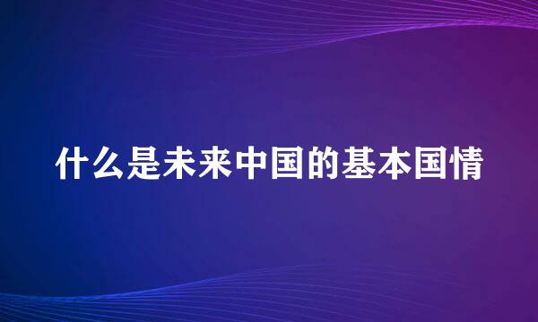 什么是未来中国的基本国情