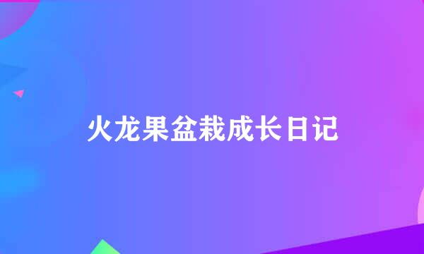 火龙果盆栽成长日记