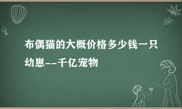 布偶猫的大概价格多少钱一只幼崽--千亿宠物