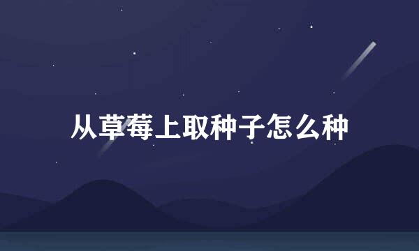 从草莓上取种子怎么种
